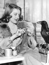 Betty Davis knitting